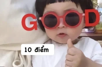 Lưu ngay về máy bộ ảnh 10 điểm meme hài hước và độc đáo