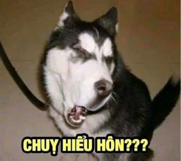 Ảnh meme chế 07