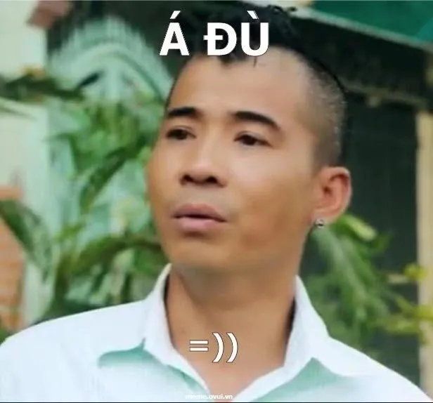 Ảnh meme chế 13