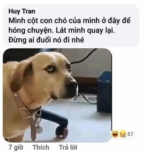 Ảnh meme chế 18