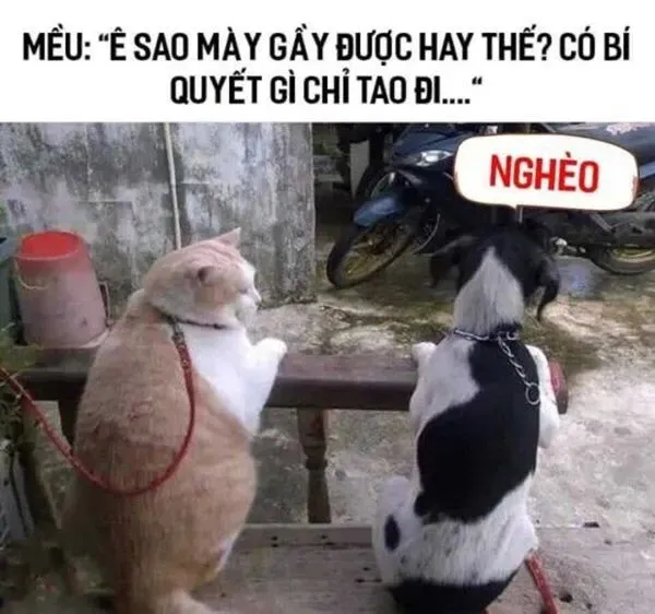 Ảnh meme chế 32