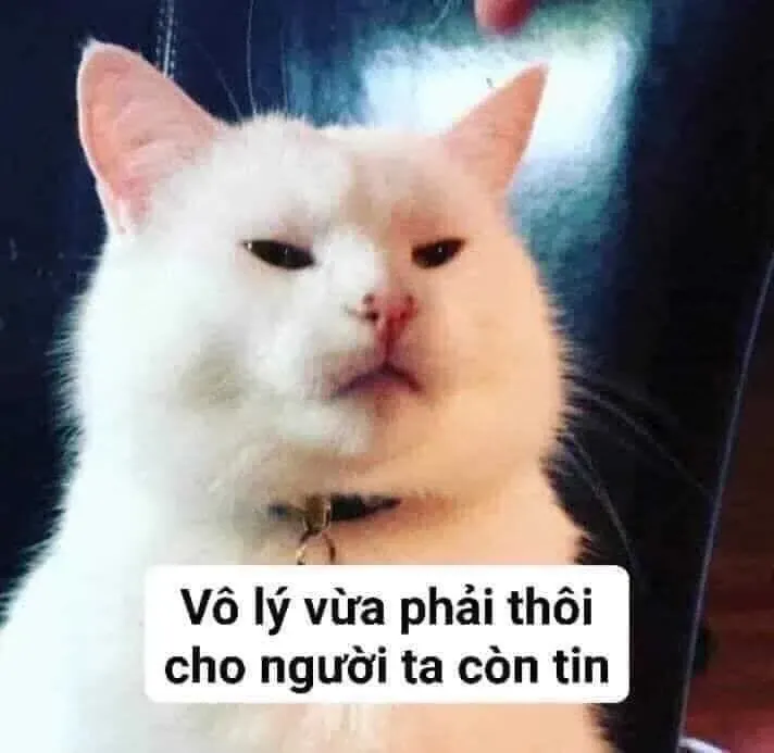 Ảnh meme chế 36