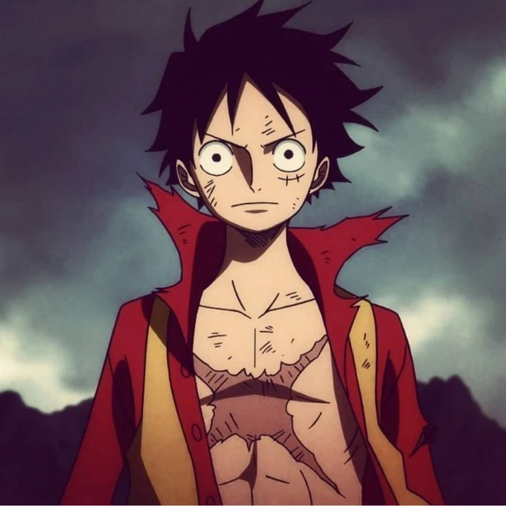 Avatar luffy 19