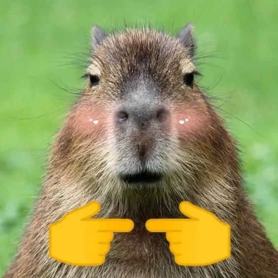 Capybara meme 01