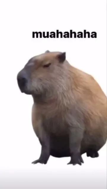 Capybara meme 10