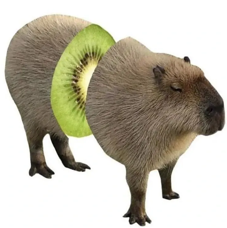 Capybara meme 19