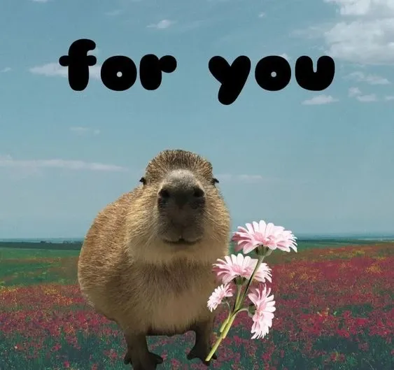 Capybara meme 20