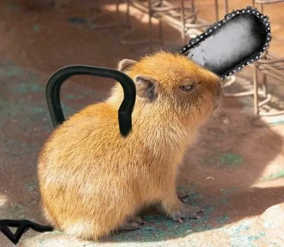 Capybara meme 30