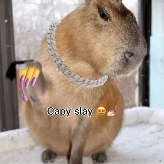 Capybara meme 37