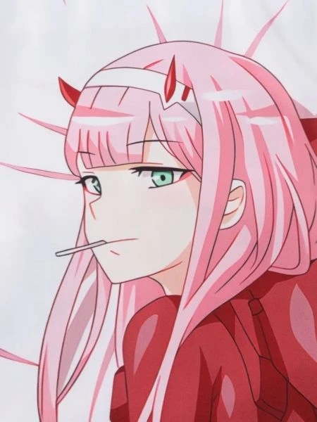 chibi zero two 16