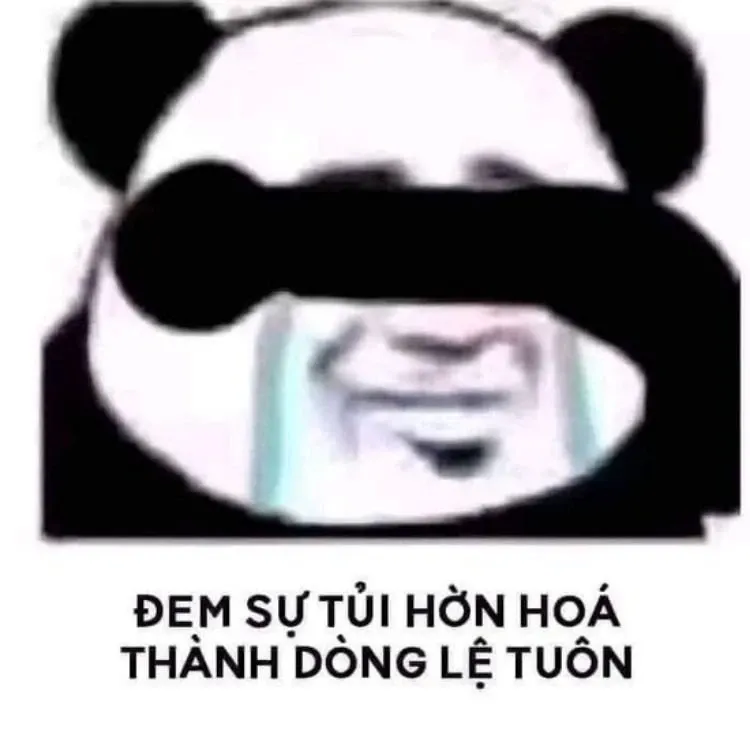 Gấu trúc meme 02