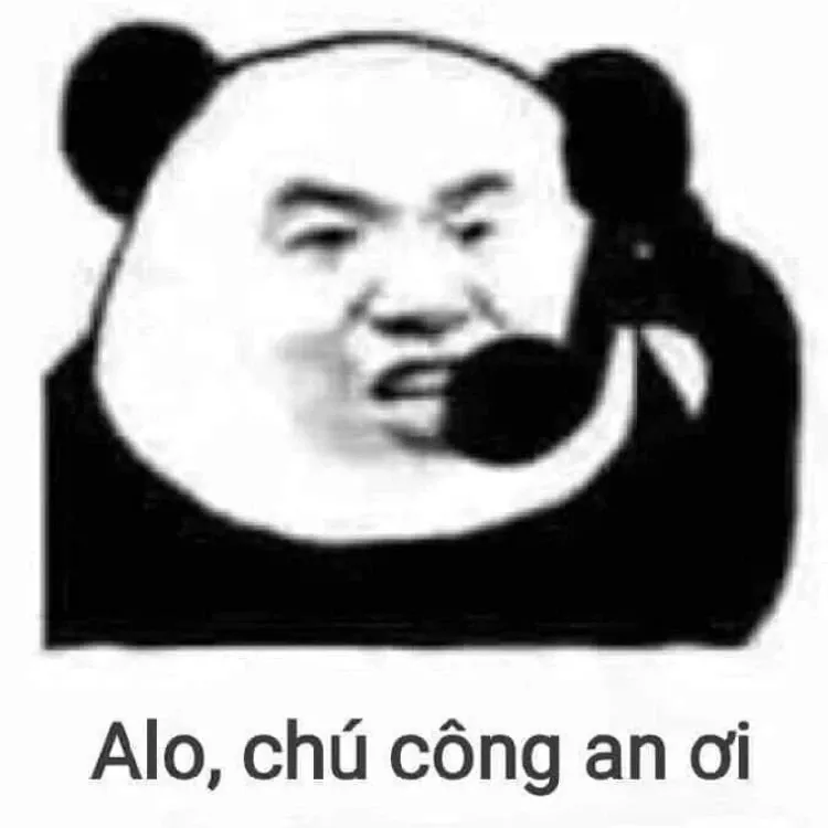 Gấu trúc meme 04