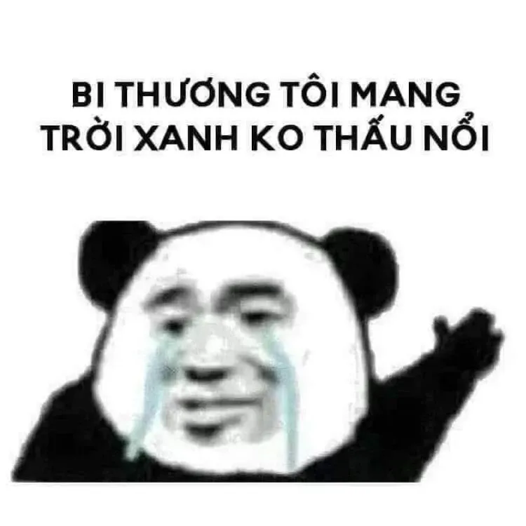 Gấu trúc meme 08