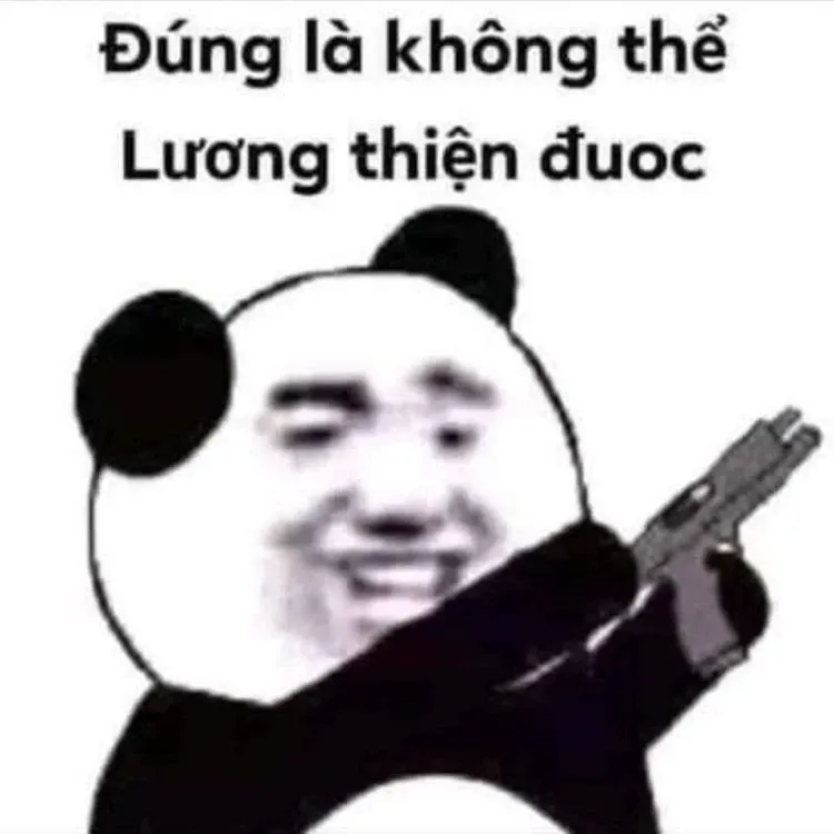 Gấu trúc meme 34