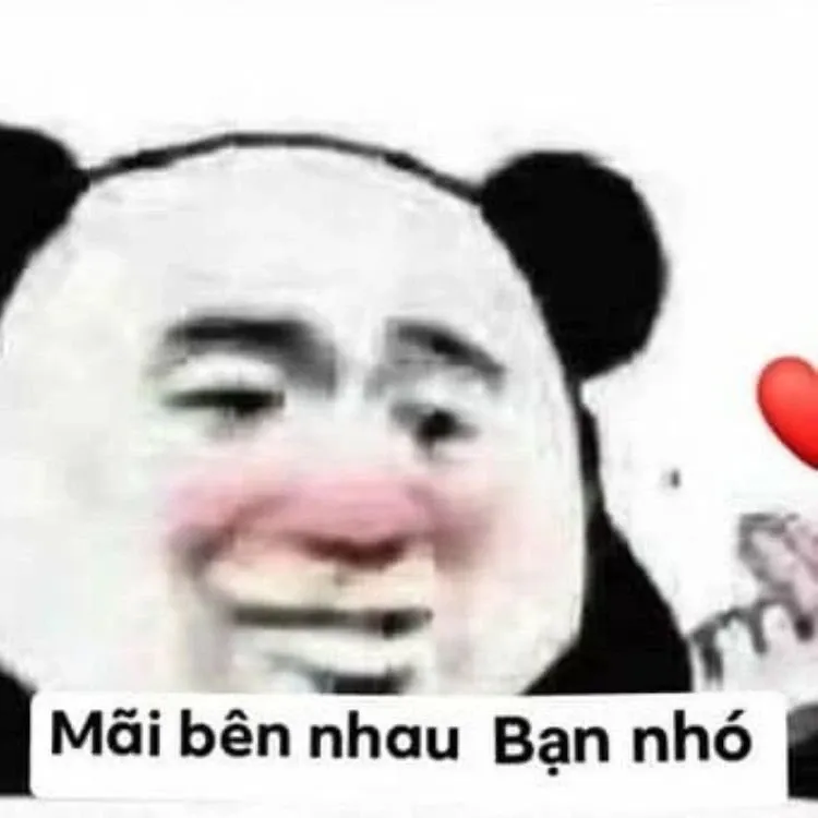 Gấu trúc meme 38