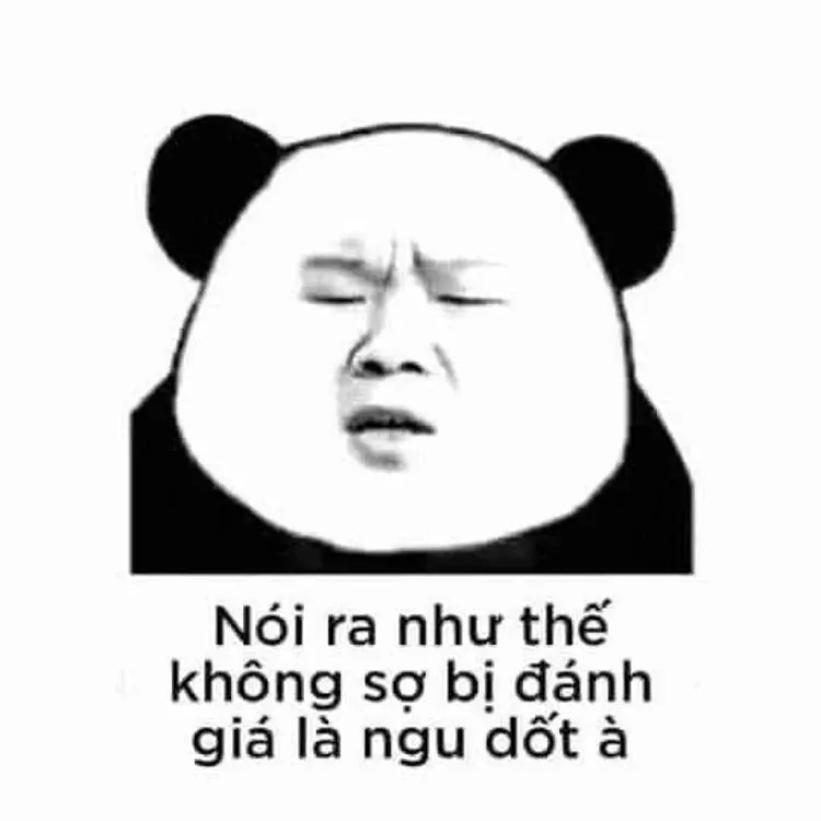 Gấu trúc meme 41