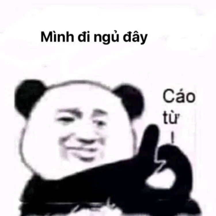 Gấu trúc meme 42