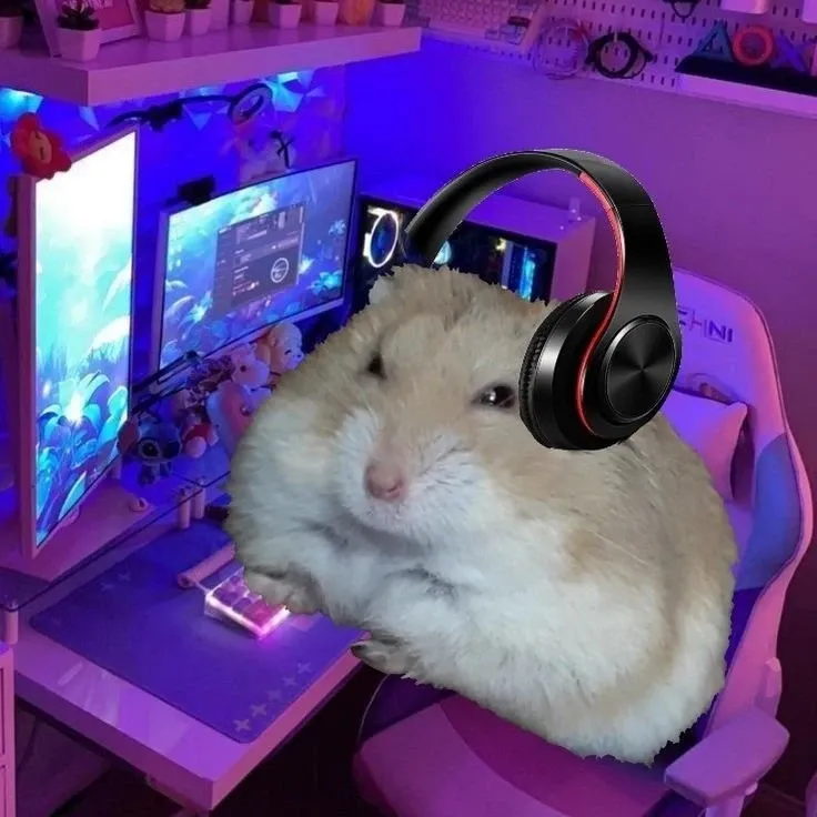 Hamster meme 27