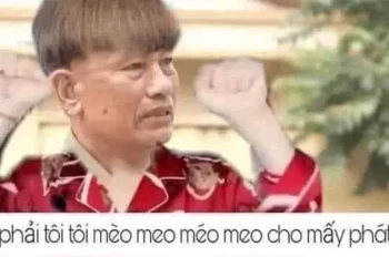 Khám phá những hình meme hài hước và vui nhộn nhất hiện nay