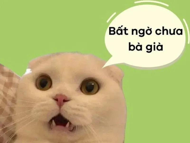 Meme bất ngờ 28