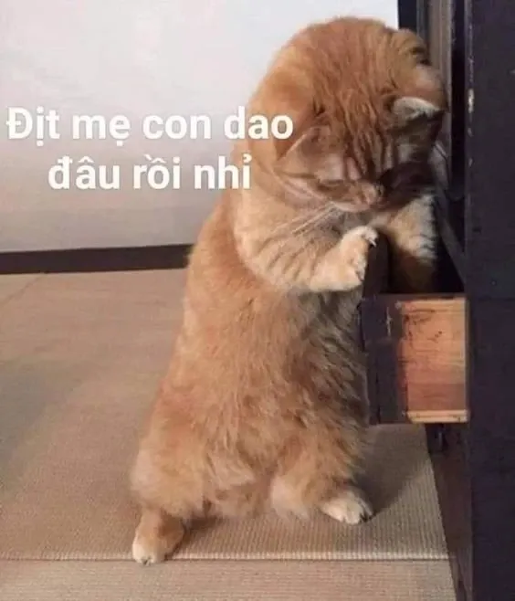 meme cầm dao 30