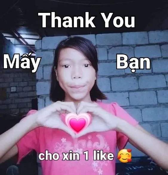 Meme cảm ơn 02