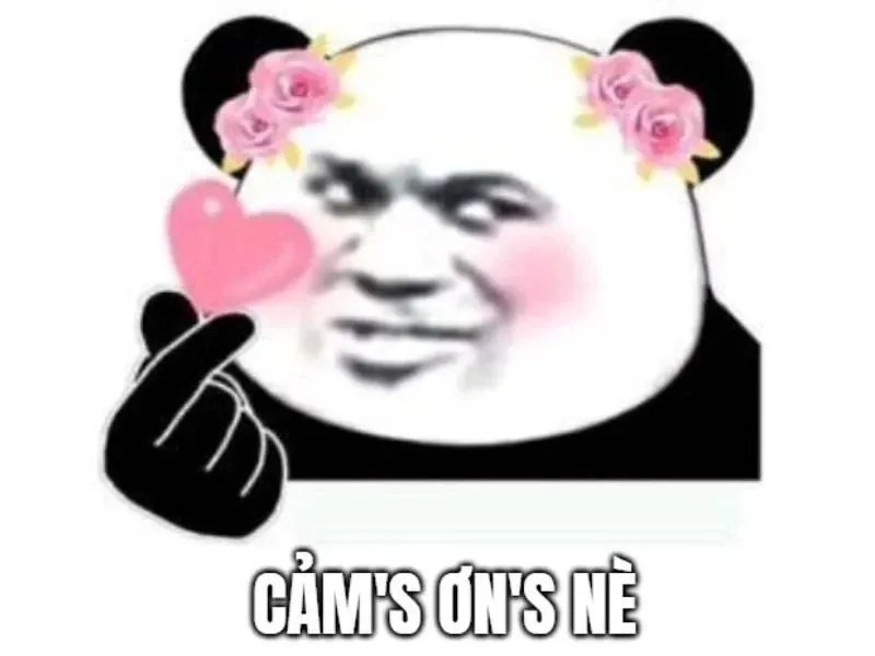 Meme cảm ơn 09