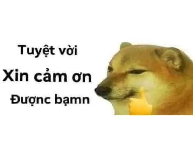 Meme cảm ơn 11