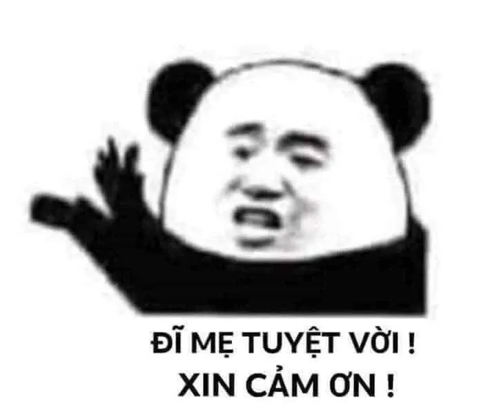 Meme cảm ơn 18