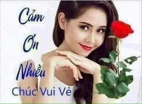 Meme cảm ơn 25