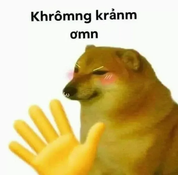 Meme cảm ơn 30