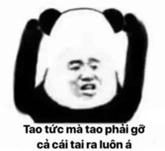 Meme chửi 12