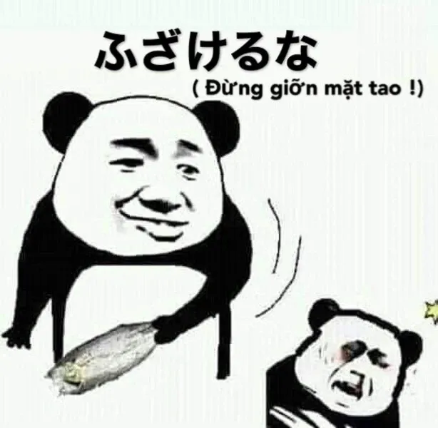 Meme chửi 18