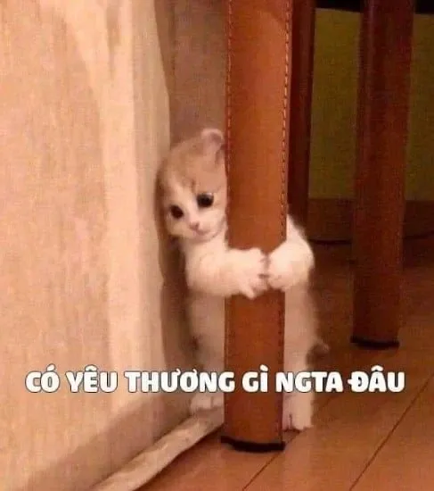 Meme dỗi 30