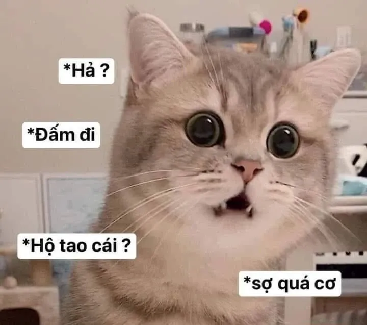 Meme dỗi 35