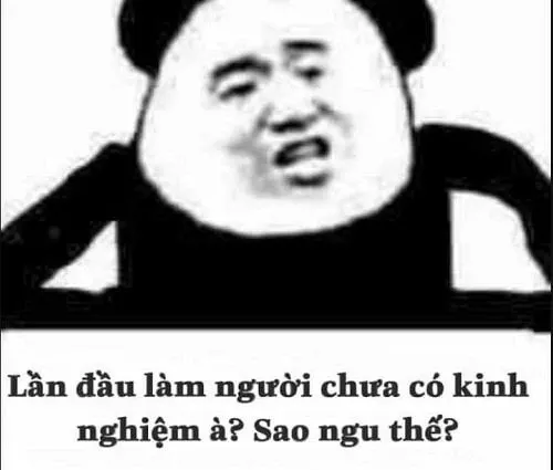 Meme gấu trúc 04