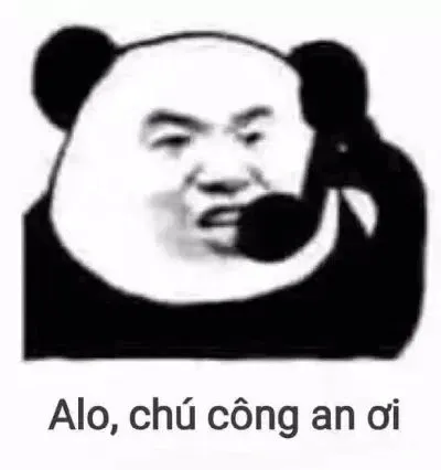 Meme gấu trúc 06