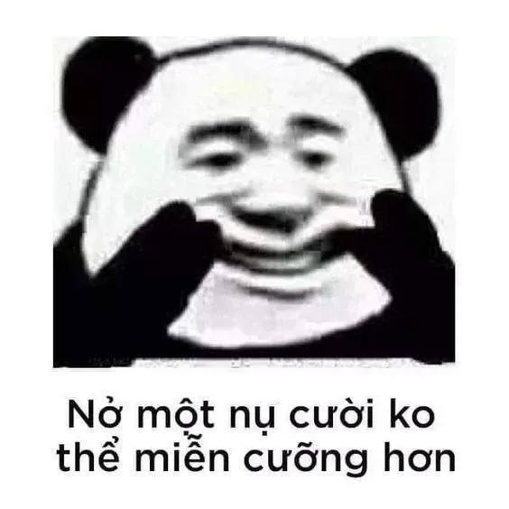 Meme gấu trúc 07