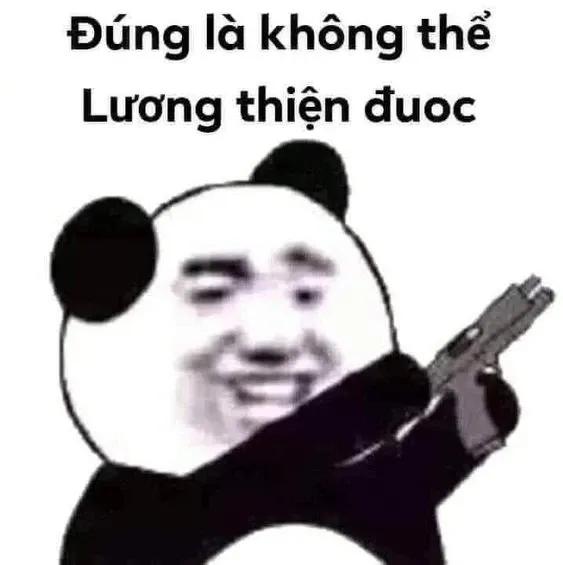 Meme gấu trúc 11