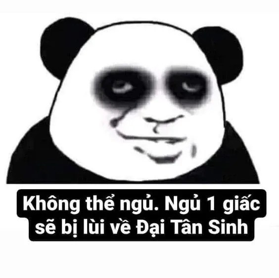 Meme gấu trúc 20