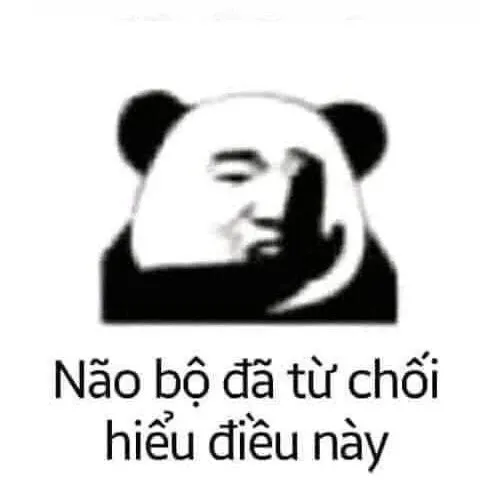 Meme gấu trúc 24