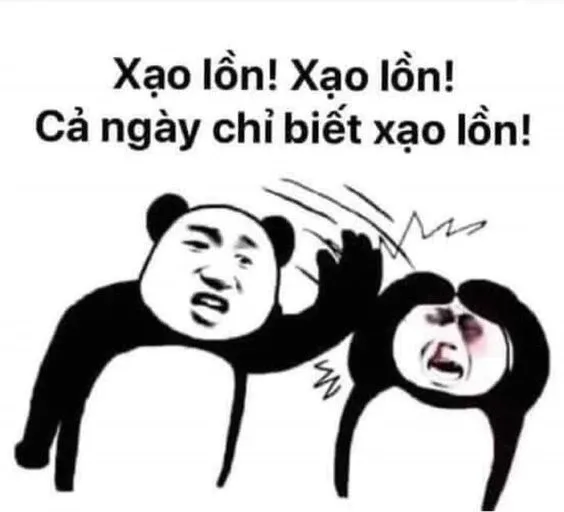 Meme gấu trúc 25