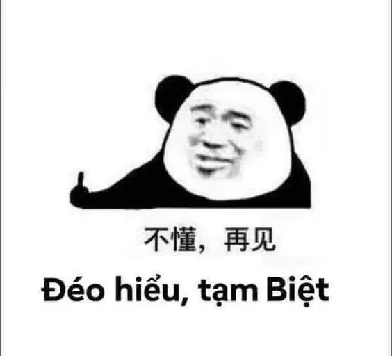 Meme gấu trúc 36