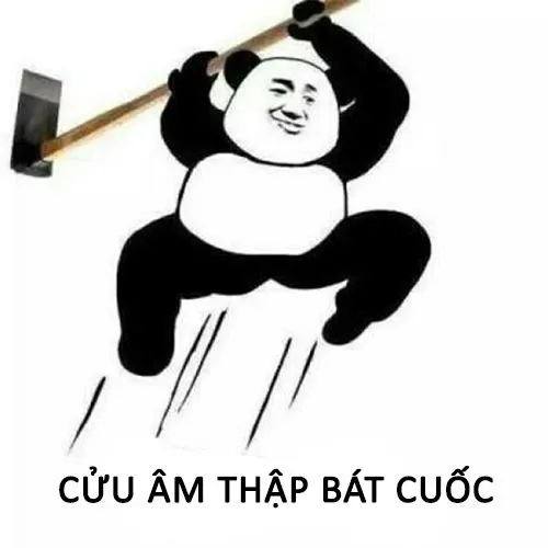 Meme gấu trúc 44