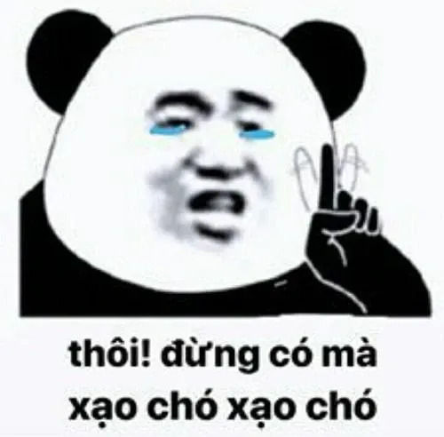 Meme gấu trúc 45