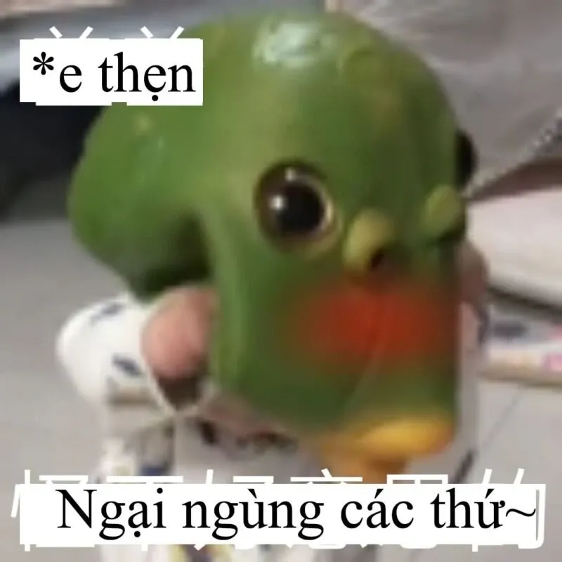 Meme ngại 39