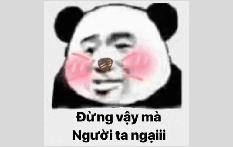 Meme ngại 44