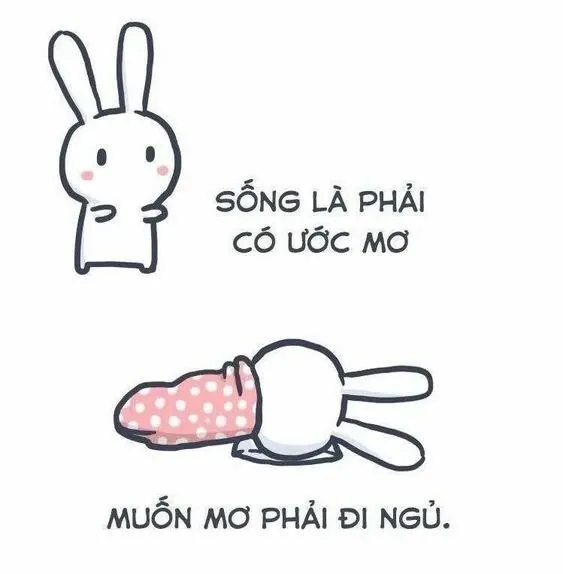 Meme ngủ ngon 13