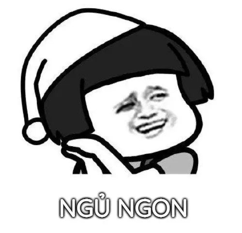 Meme ngủ ngon 24