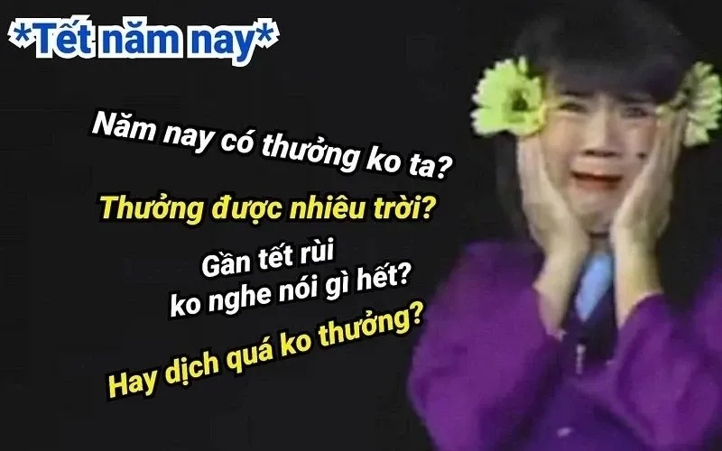 Meme tết 29